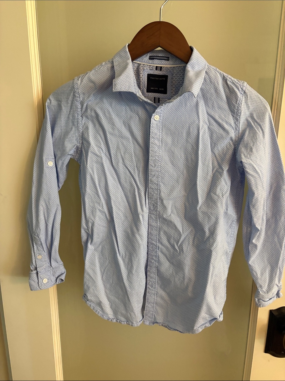 Cactus Light Blue Men's Dress Shirt with Micro Dot Pattern